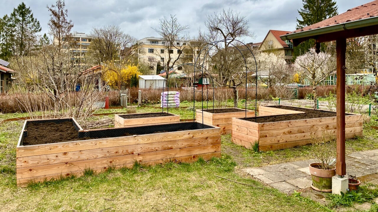 raised garden beds