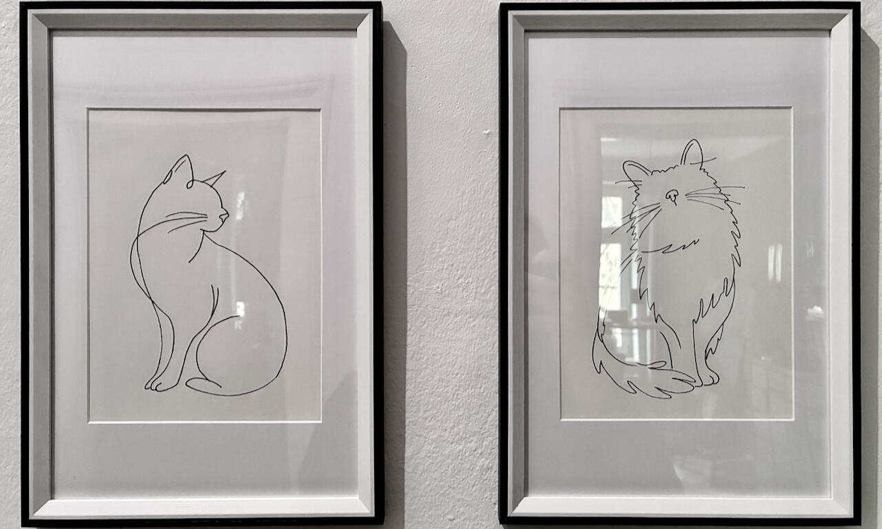 feline lines